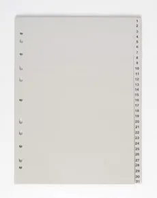 Trennblatt A4, 1-31 PP 120my